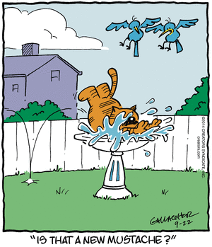 heathcliff